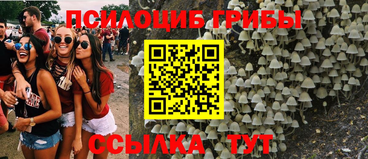 Псилоцибиновые грибы GOLDEN TEACHER  Псилоцибиновые грибы Psilocybe  Вход с VPN  Узловая 